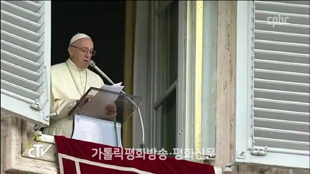 "가장 큰 계명은 사랑" 교황, 삼종기도에서 사랑의 계명 강조