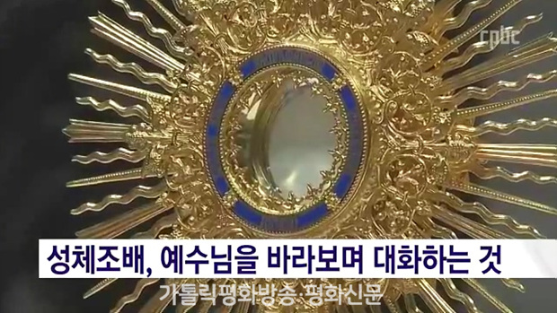 성체조배는 어떻게 해야 하나요?