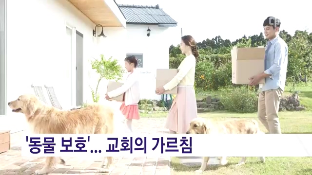 [기획] 반려 동물을 천국에서 볼 수 있나요?