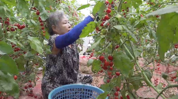 [농민주일] 하늘과 함께 농사 짓는 부부