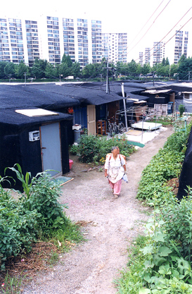 [특집] 제8회 가톨릭 포럼, 빈곤의 대물림 끊을 수 없나