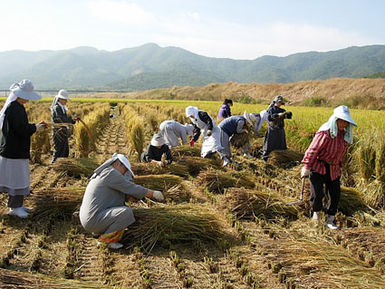 창조보전전국모임 제4회 창조보전축제, 작은 실천 강조
