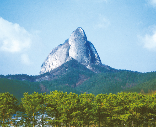 [영상복음] 79-새처럼 산으로