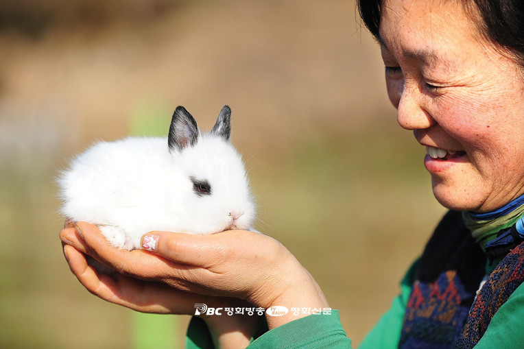 영특한 토끼처럼 신묘년도 지혜롭게