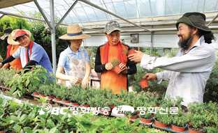 보고 만지고 느끼고...체험형 여름휴가