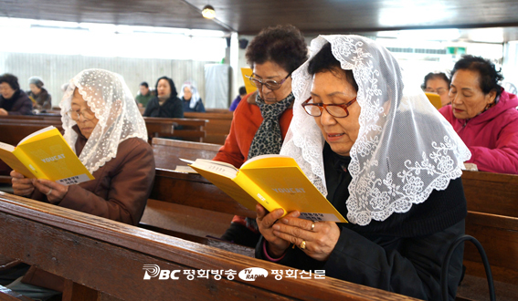 신앙의 해, 「유캣」으로 전 신자 교리교육