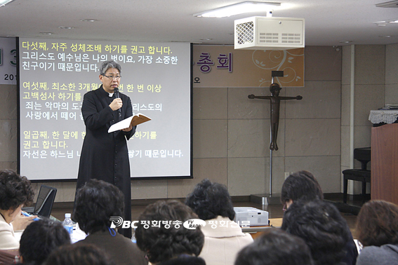신앙의 해, 신앙 기초 다지는 데 주력