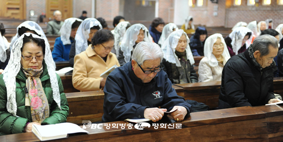 신앙의 해, 교육ㆍ신심운동 활발