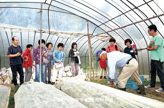 [서울 우리농 제9기 하늘땅물벗 일본 연수]<중>유기농 생산 소비, 지구 환경을 위한 실천의 시작 