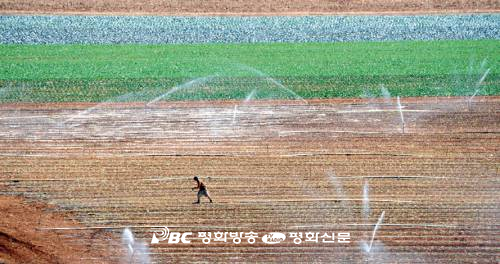 [복음 이야기] (23) 노동자
