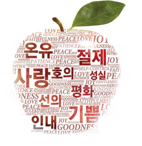[전영준 신부의 가톨릭 영성 산책] <38>