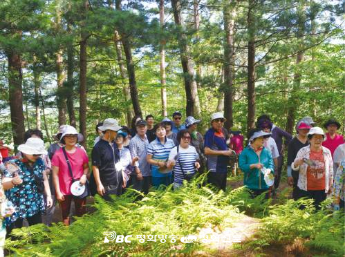 주님과 자연 안에 하나되는 시간, 서울 하계동본당 여름 가족캠프