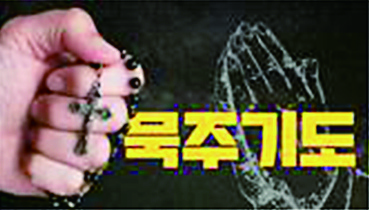 cpbc 프로그램, 더 알차게! 더 다양하게!