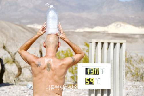 하느님의 모든 피조물과 생태적 조화 이뤄야